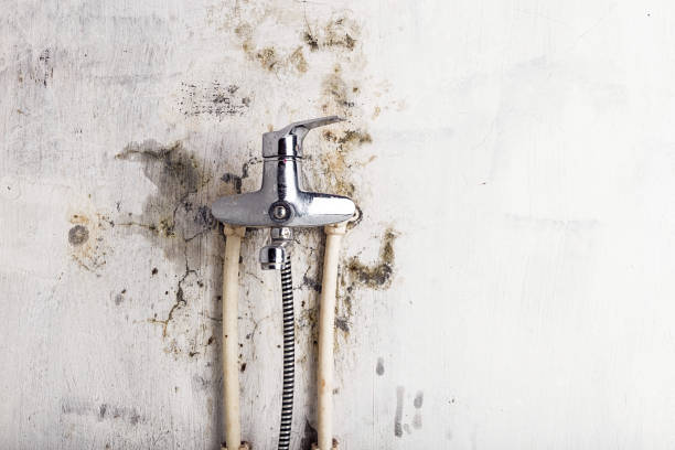Trusted Alexandria Bay, NY Mold Remediation Experts